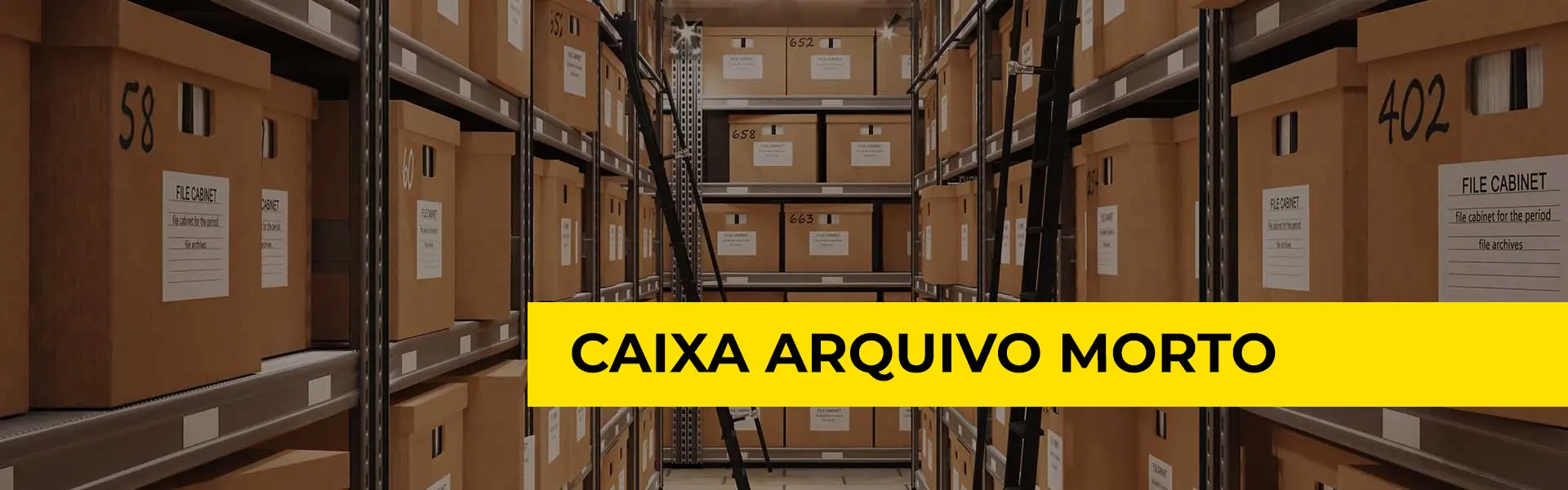Caixa Arquivo Morto